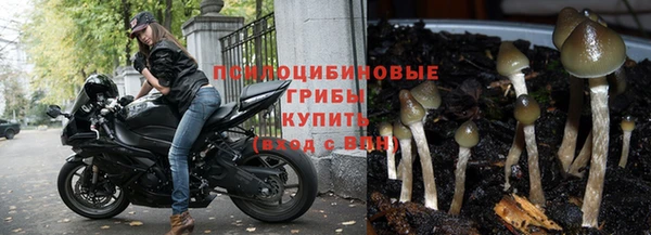 каннабис Алзамай