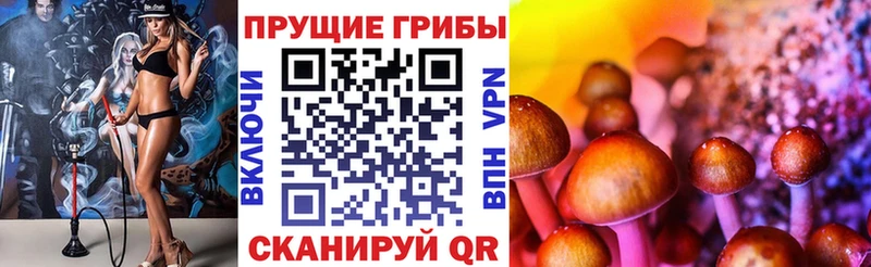 Псилоцибиновые грибы Psilocybine cubensis  кракен tor  Дудинка 